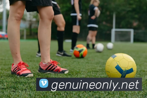 环球体育平台官方网站 - 环球(中国)平台生态图